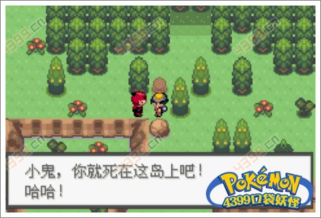 口袋妖怪极光石卡比兽
