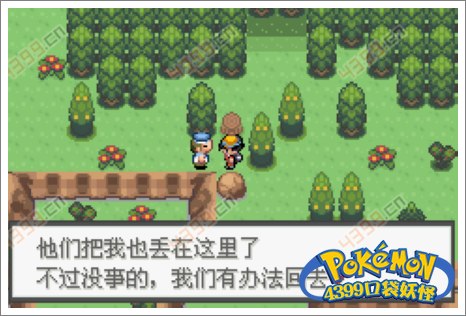 口袋妖怪极光石卡比兽
