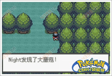 口袋妖怪极光石卡比兽