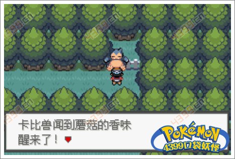 口袋妖怪极光石卡比兽