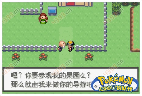 口袋妖怪极光石新堇市