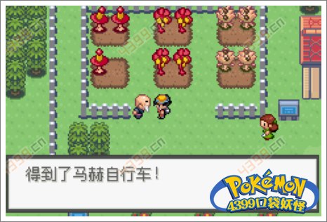 口袋妖怪极光石新堇市