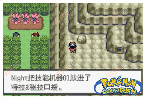 口袋妖怪极光石