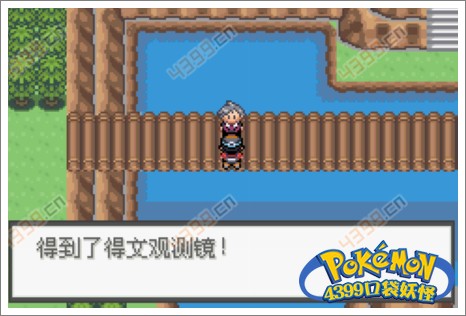 口袋妖怪极光石