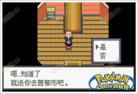 口袋妖怪极光石