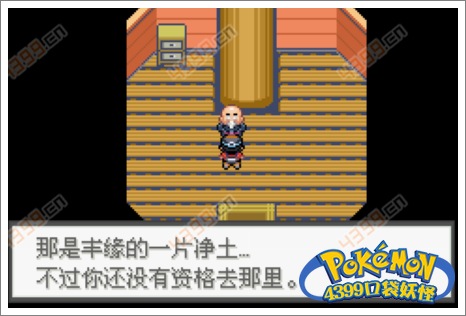 口袋妖怪极光石