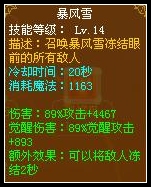 龙斗士法师技能解析