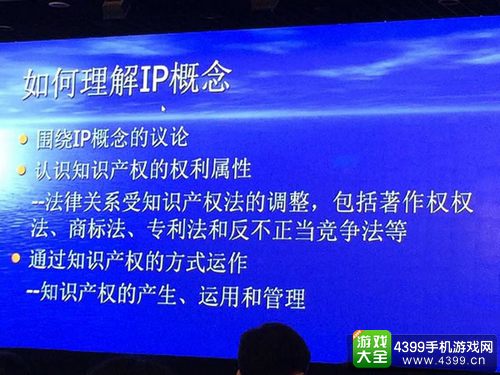 第二届国家IP大会索来军