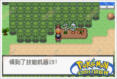 口袋妖怪极光石幻影塔