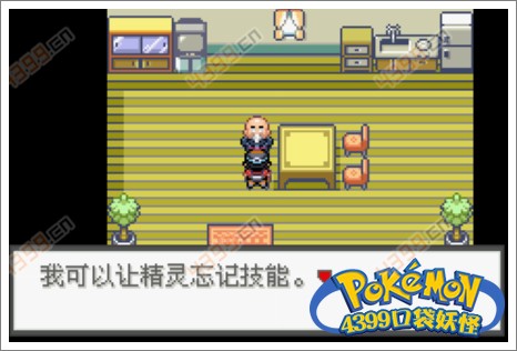 口袋妖怪极光石