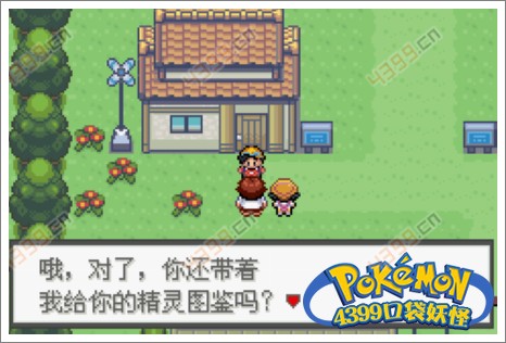 口袋妖怪极光石基拉蒂纳