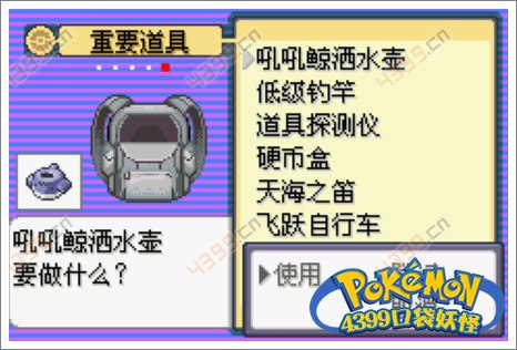 口袋妖怪极光石