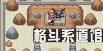 口袋妖怪白金光二周目攻略2 格斗系道馆