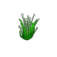 洪荒大劫篇忘忧草