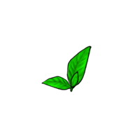 洪荒大劫篇经验瑶草