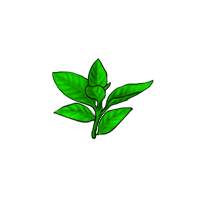 洪荒大劫篇大经验瑶草