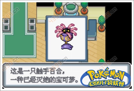 口袋妖怪白金光一周目