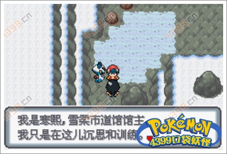 口袋妖怪白金光一周目