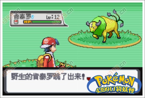 口袋妖怪白金光一周目