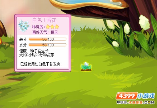 小花仙白色百小香诞生