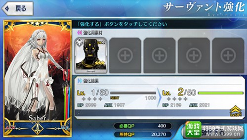 《Fate/Grand Order》Servant成长系统判明
