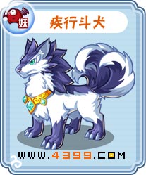 卡布西游疾行斗犬刷什么 练级