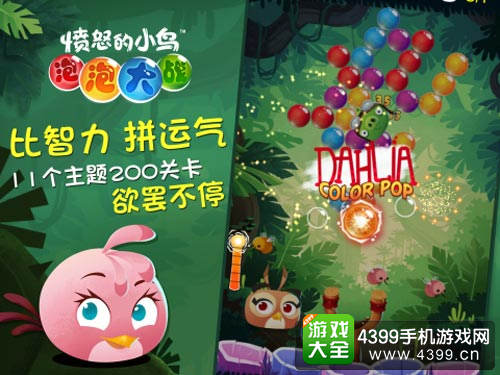愤怒的小鸟泡泡大战