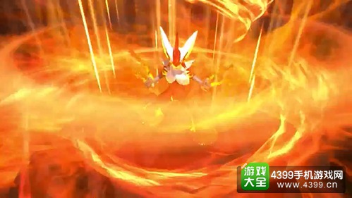 ポッ拳 POKKEN TOURNAMENT 火鸡斗士