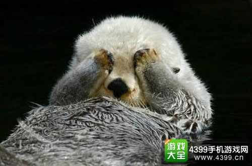 手机病毒