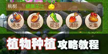 梦幻西游手游庭院植物种植攻略