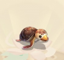 海龟
