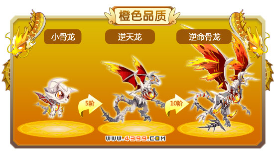 龙斗士逆命骨龙