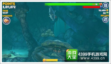 饥饿鲨:进化