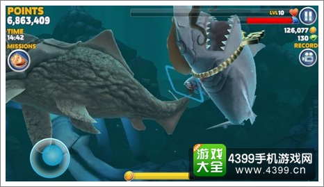 饥饿鲨进化
