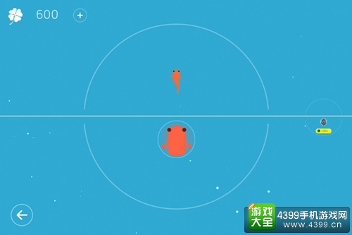 鲤