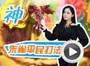 赛尔号朱雀打法