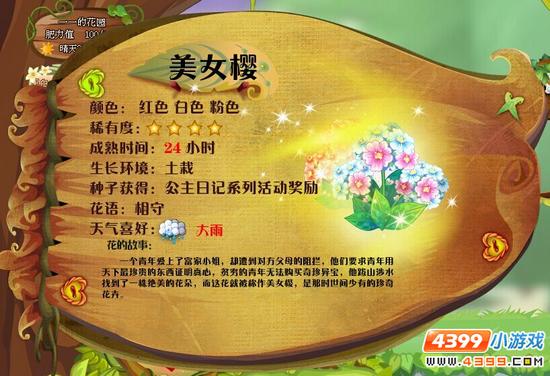 小花仙美女樱 美女樱花种 美女樱