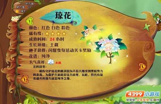 小花仙琼花 琼花花种怎么得 琼花