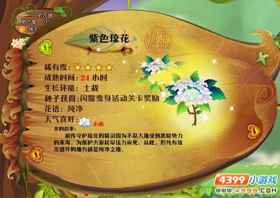 小花仙琼花 琼花花种怎么得 紫色琼花