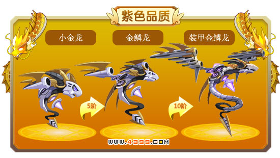 龙斗士小金龙-金鳞龙-装甲金鳞龙进化图鉴 属性