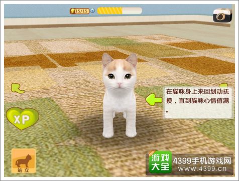 心动小猫好玩吗