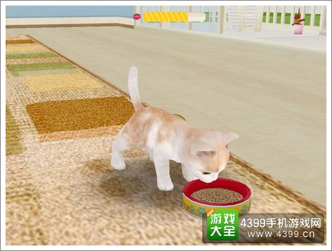 心动小猫好不好玩