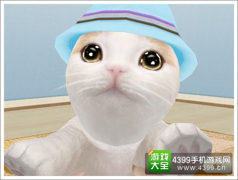 心动小猫手游评测