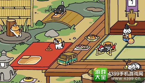 猫咪后院