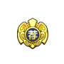 洪荒大劫篇金章