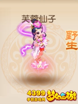 梦幻西游手游野生芙蓉仙子