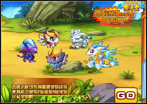 龙斗士宠物训练营