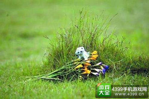 手环