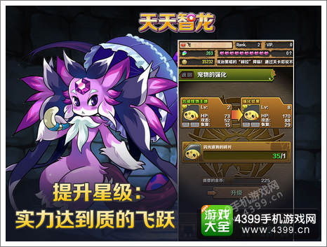 智龙迷城什么宠物好