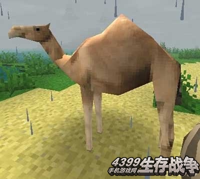 生存战争骆驼